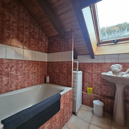 Le Petit Sauna 公寓 拉布雷斯