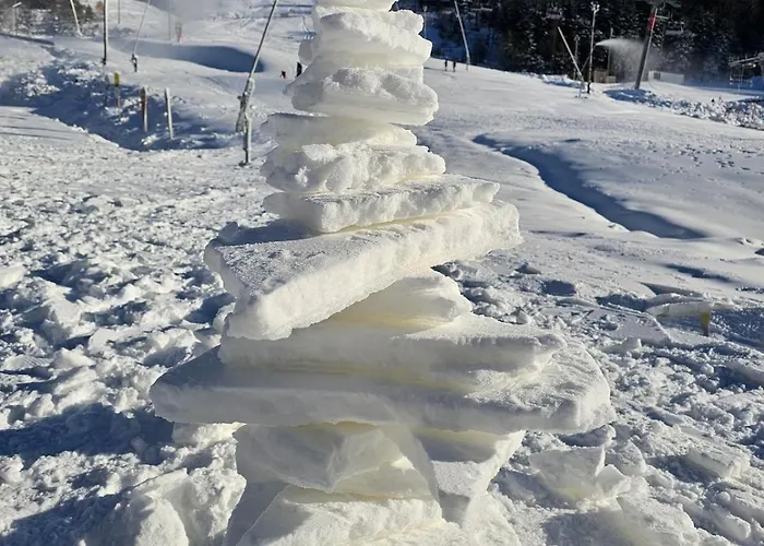 Le Petit Sauna Appartement La Bresse