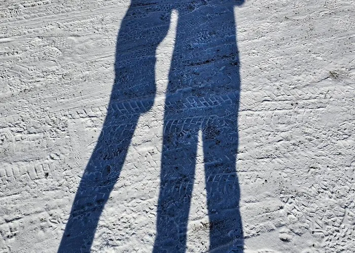 Appartement Le Petit Sauna La Bresse