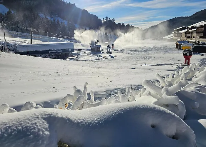 Le Petit Sauna Appartement
